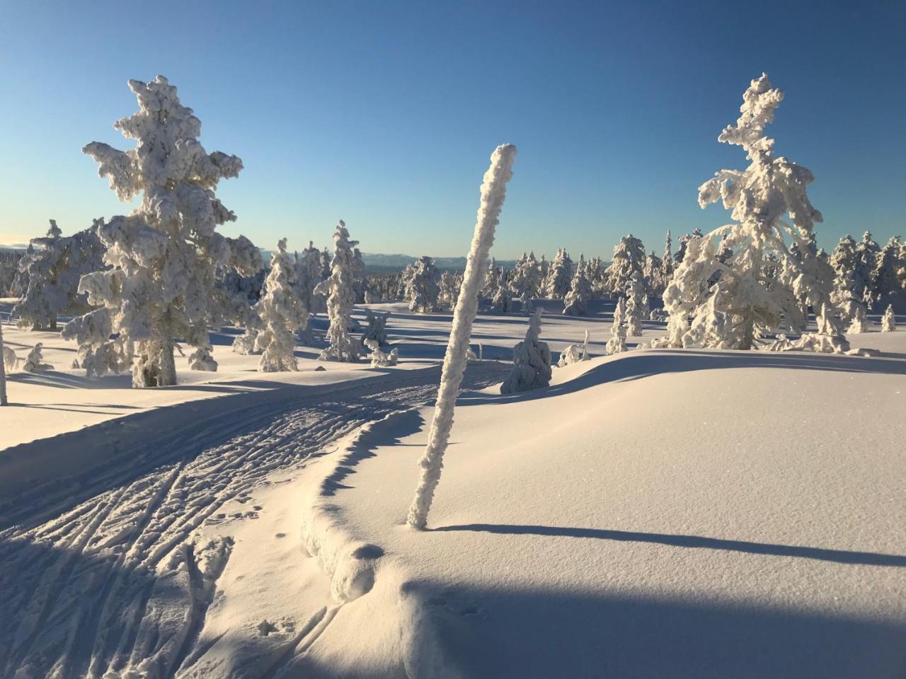 Tyrifjord Hotell Vikersund Eksteriør billede